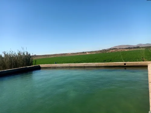 Vente Terrain Agricole Tlemcen Maghnia