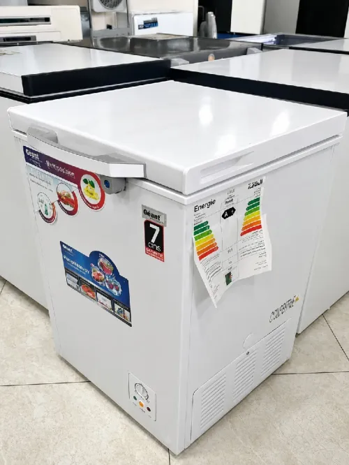 Congélateur géant 100 L