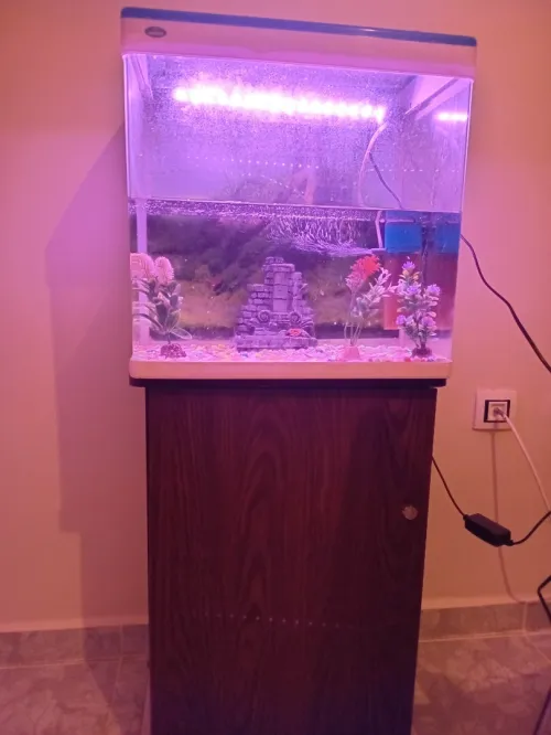 Aquarium