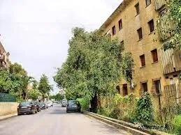 Location Appartement F3 Alger Mohammadia