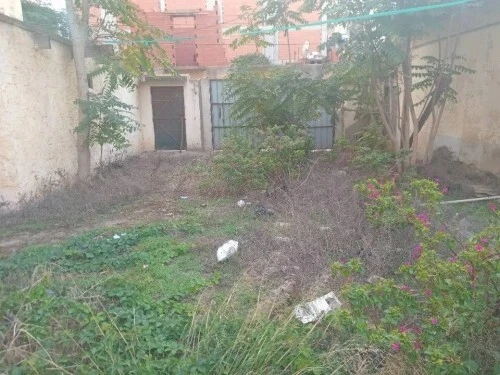 Vente Terrain Alger Bordj el kiffan