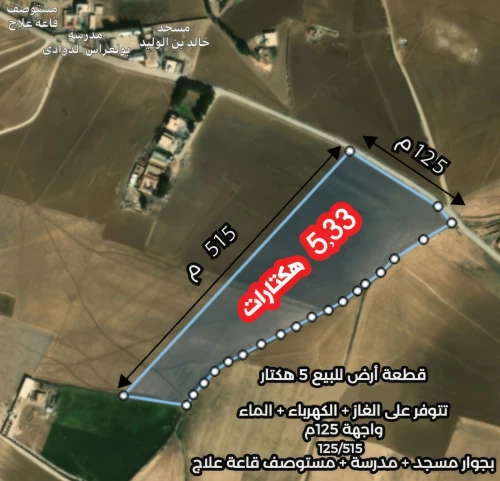 Vente Terrain Sétif Ain oulmene