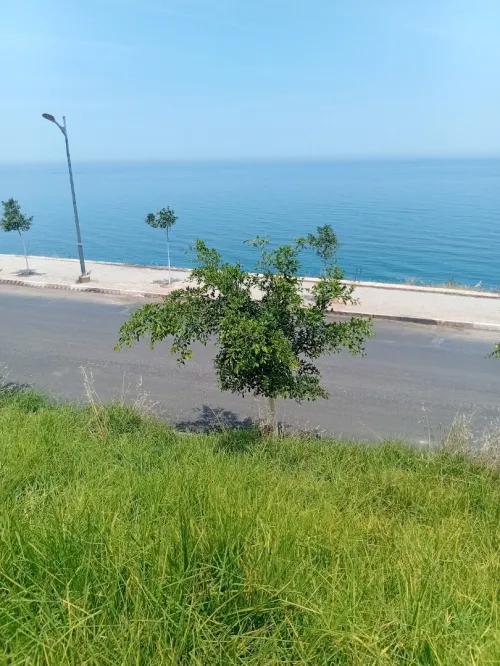 Location vacances Appartement Tipaza Messelmoun