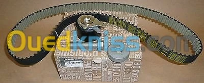 kit chaine clio 4 kang  duster 1.5 dci