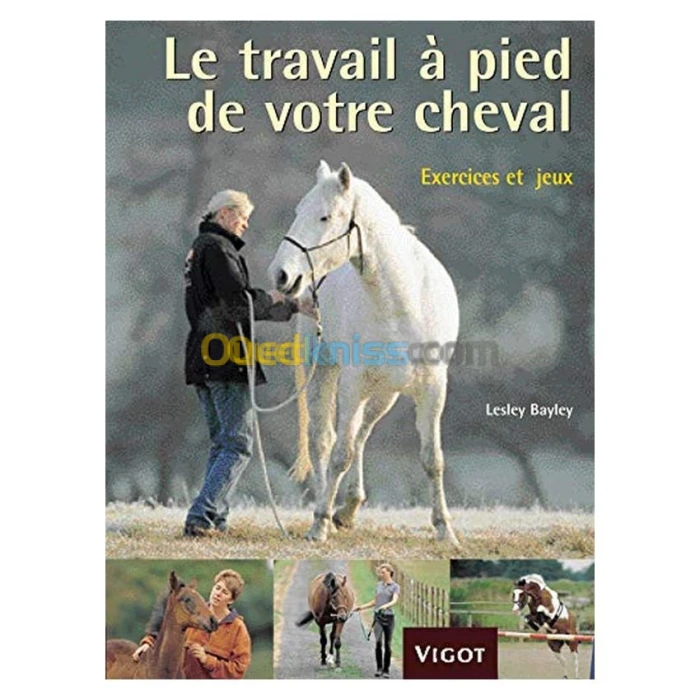 Le travail à pied de votre cheval : Exercices et jeux pour développer un lien puissant avec votre cheval