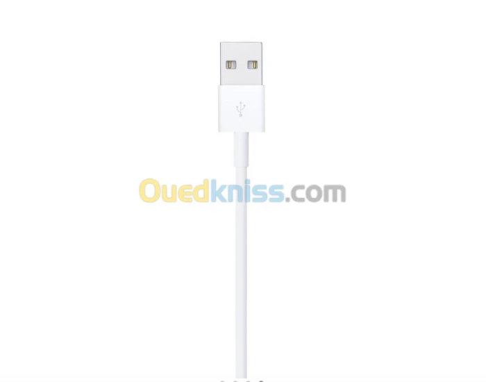 Câble Lightning vers USB (2 m)