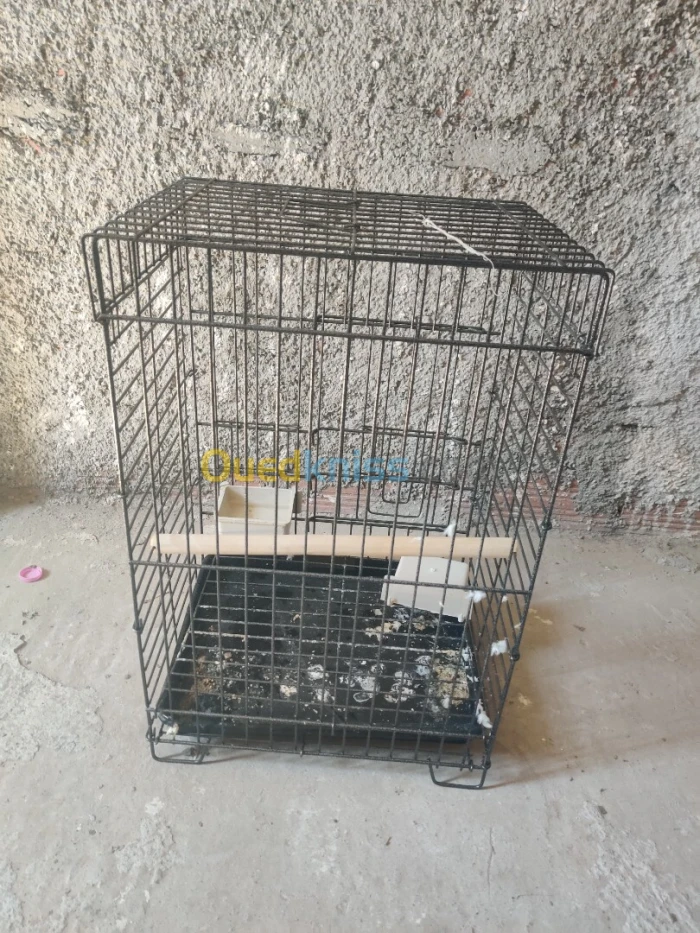 قفص ببغاء