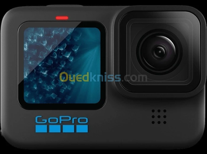 go pro tout model + accessoires