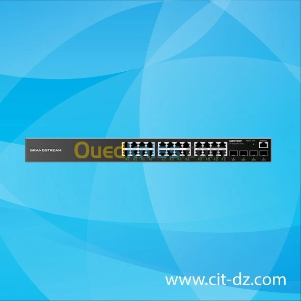 Switch 24 port