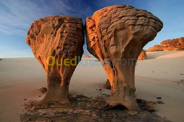 Tamanrasset réveillon 2024