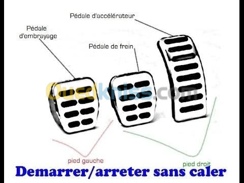 Cour de conduite