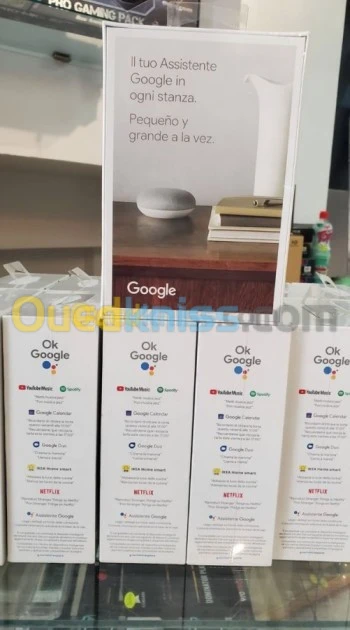 Google Nest Mini Assistant Vocal Galet
