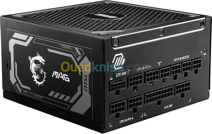 MSI MPG A1000G PCIE5 Bloc d alimentation Prise EU 1000W Certifié 80 Plus Gold