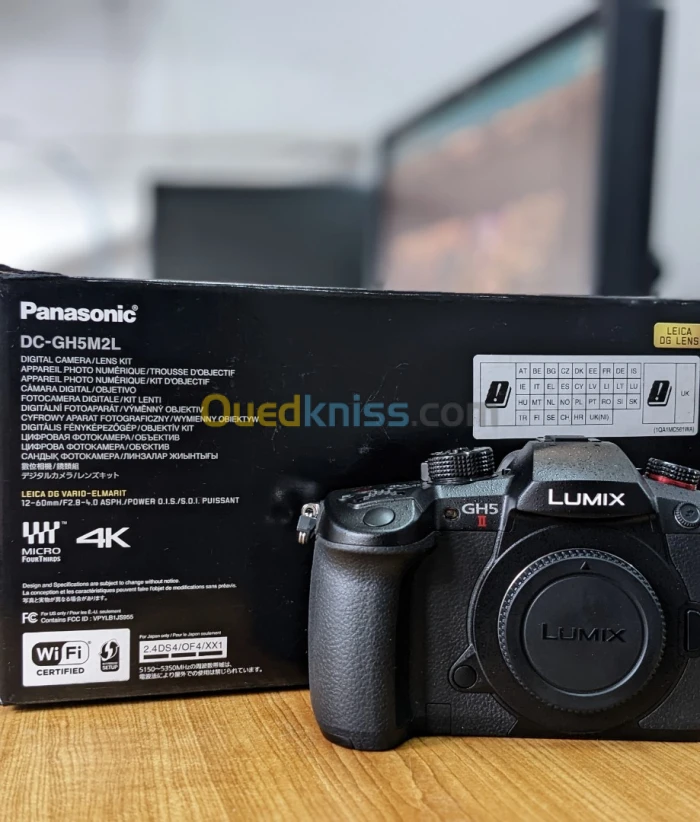 Panasonic Lumix GH5 II 