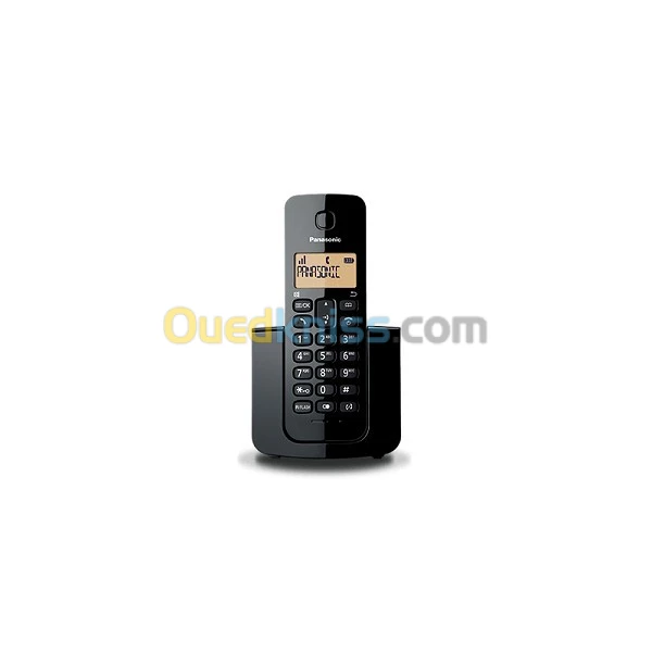 TELEPHONE PANASONIC KX-TGB10AF2