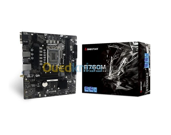 CARTE MERE BIOSTAR B760MX2-E