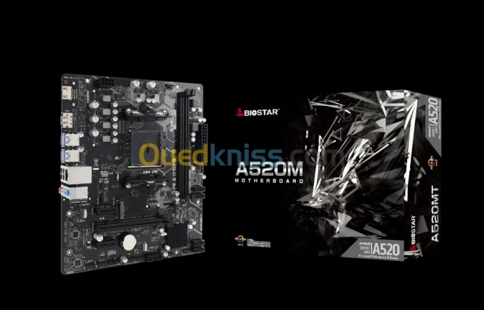 CARTE MERE BIOSTAR A520MT SOCKET AM4