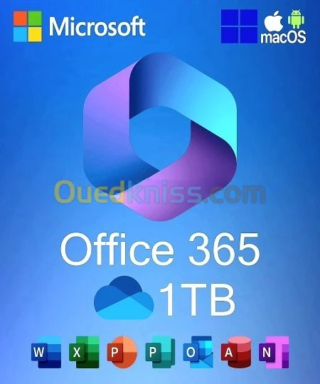 MICROSOFT OFFICE 365 PRO PLUS FOREVER WIN/MAC (1TB)