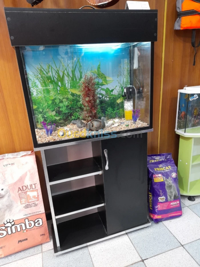 AQUARIUM AVEC TABLE 80CM