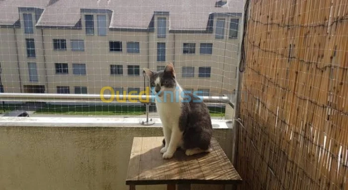 filet pour proteger les chats