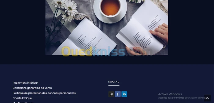Développeur WEB