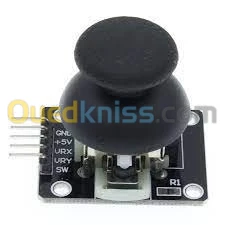 joy stick 