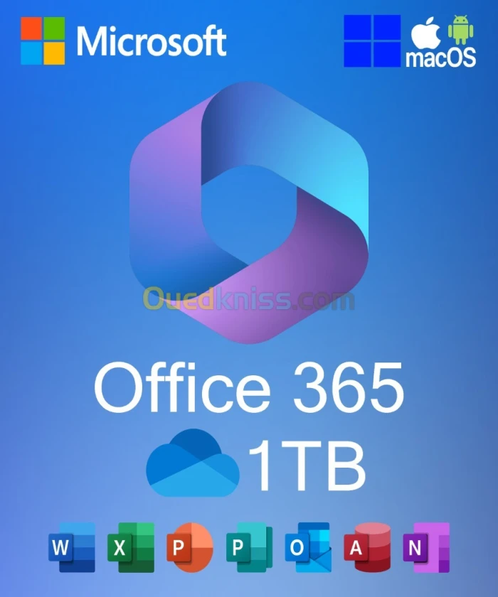 MICROSOFT OFFICE 365 PRO PLUS FOREVER WIN/MAC (1TB)