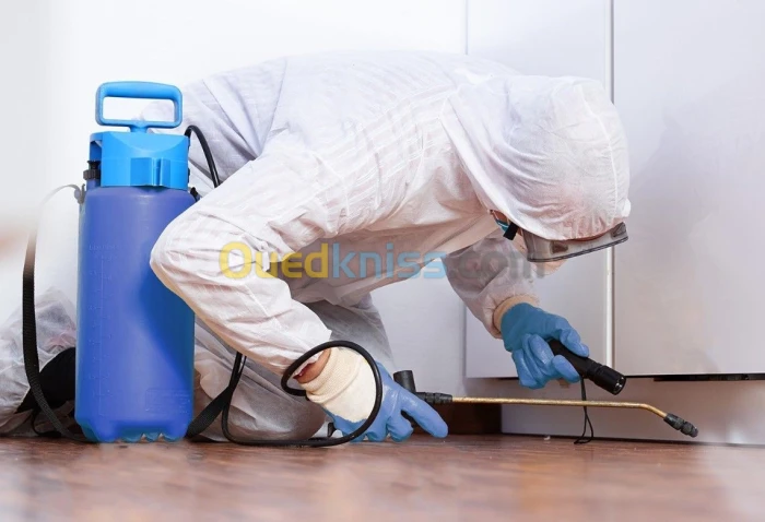 Dératisation, Désinsectisation, Désinfection (opération 3D) pour entreprise et particuliers