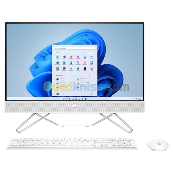 ALL IN ONE HP 24 " TACTILE