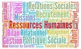 Formation en Ressources Humaines
