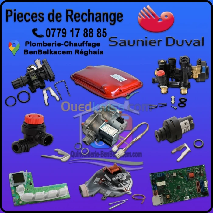 Pièces de Rechange Saunier Duval 