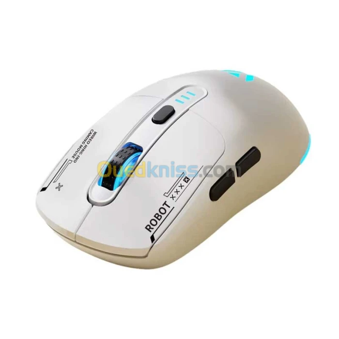 Souris Gamer Sans Fil HAVIT RECHARGABLE RGB GAMS64WB