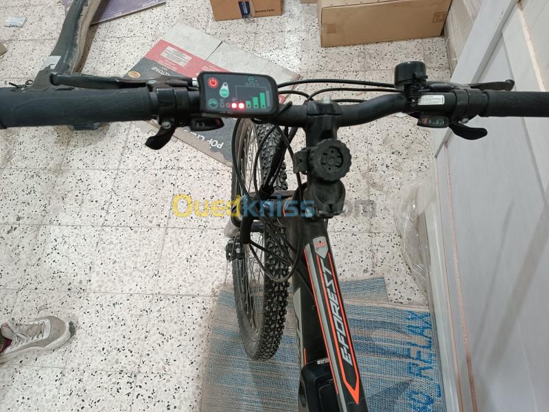 Velo electrique e online forest