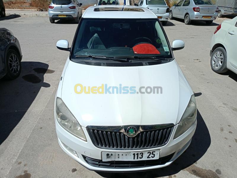 Skoda Fabia 2013 style 4
