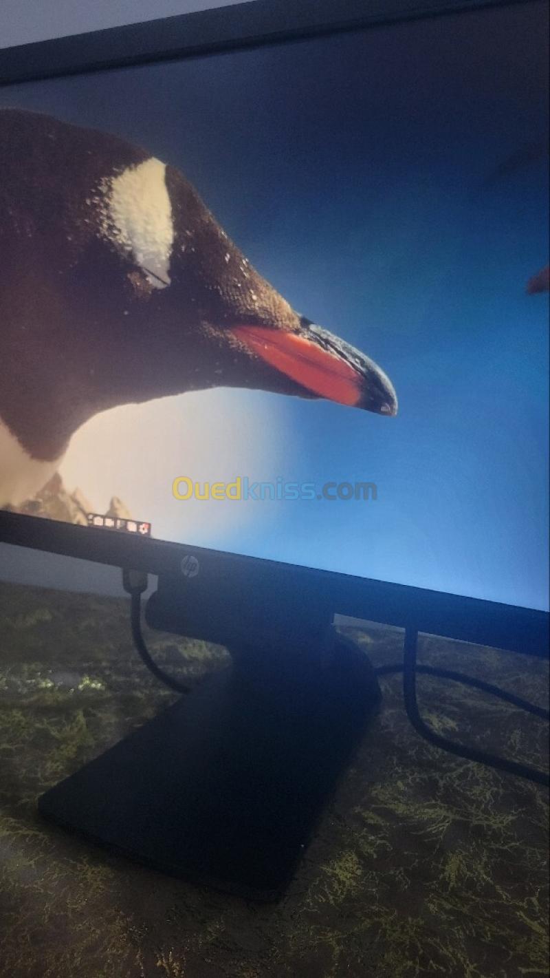 Écran HP EliteDisplay E231 23" Full HD 2