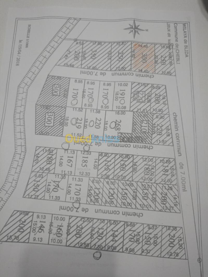 Vente Terrain Blida Chebli