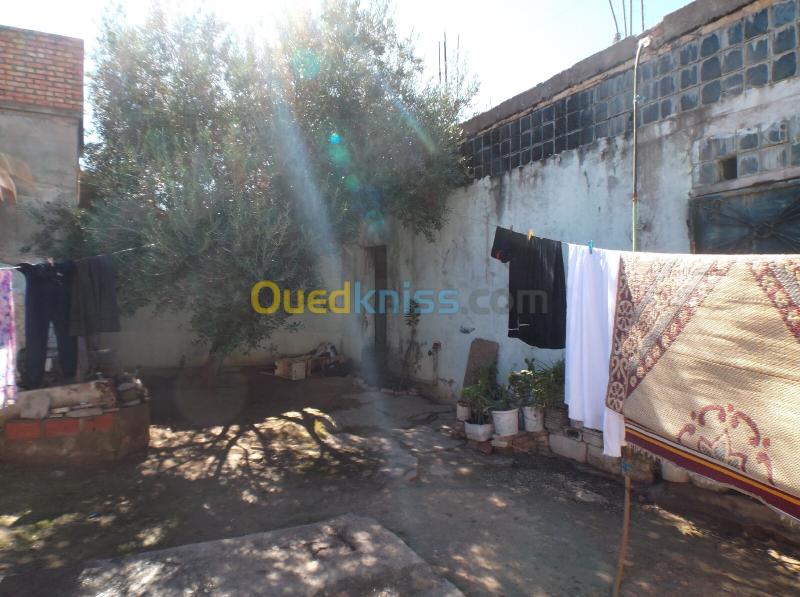Vente Villa Sidi Bel Abbès Zerouala 13