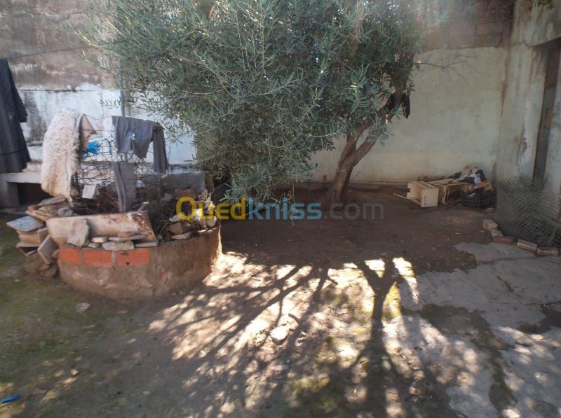 Vente Villa Sidi Bel Abbès Zerouala 2