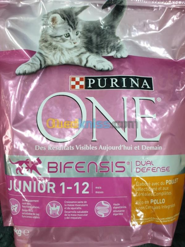 Purina One Junior Alger Algerie