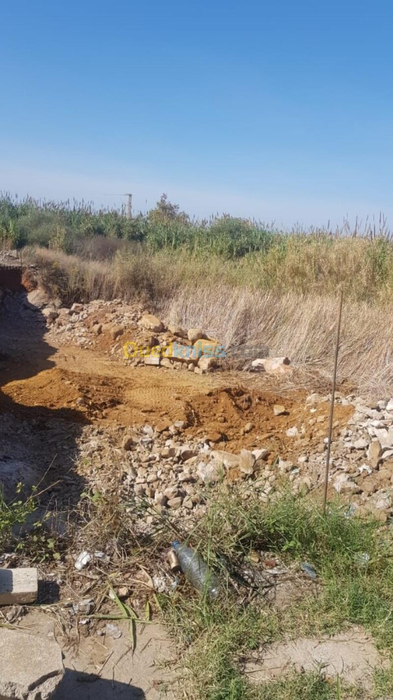 Vente Terrain Jijel Jijel 8