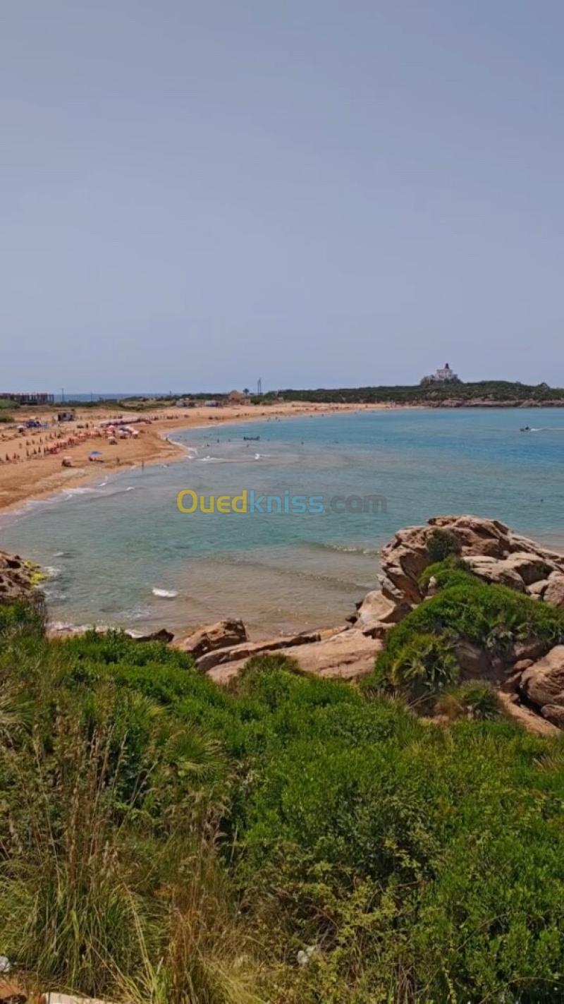 Vente Terrain Jijel Jijel 18