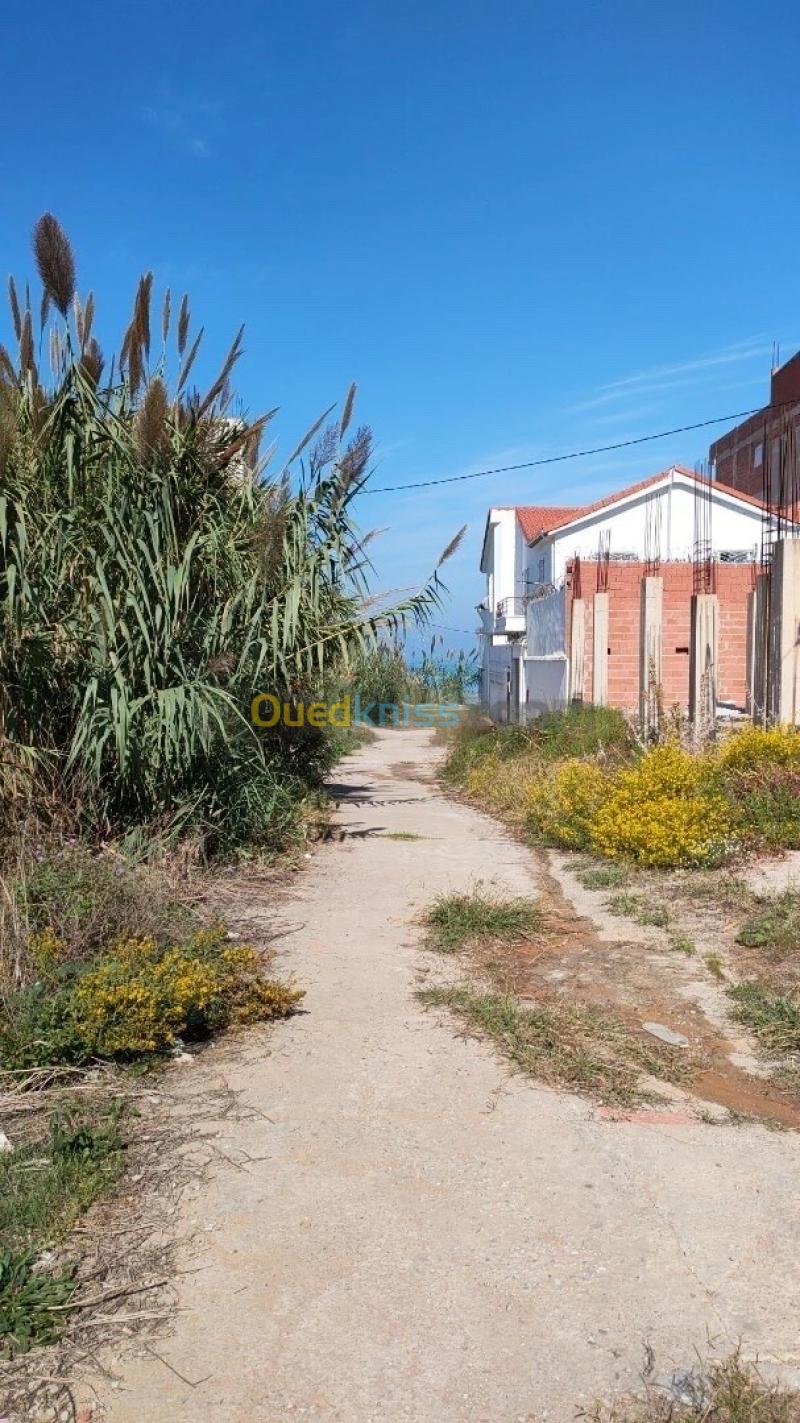 Vente Terrain Jijel Jijel