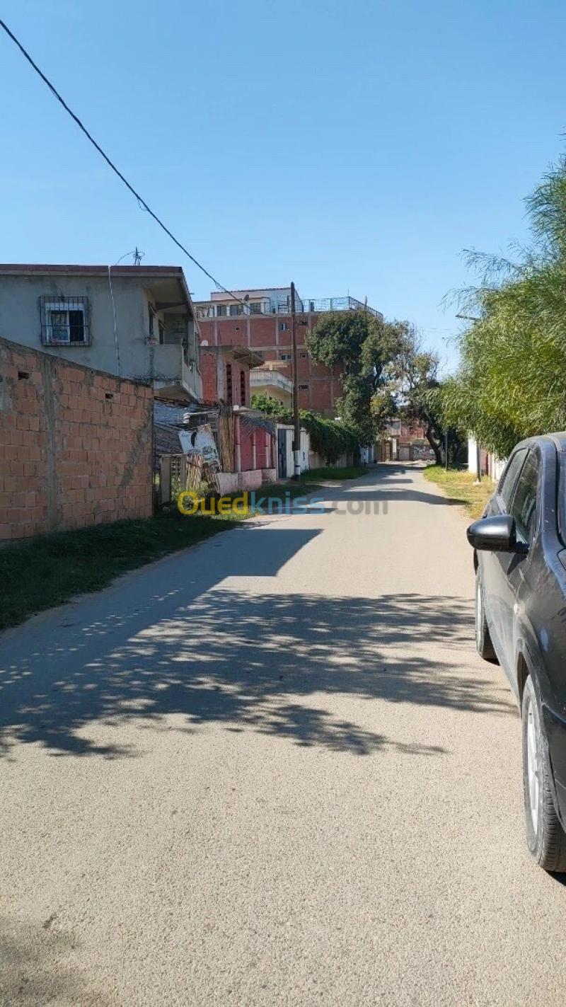 Vente Terrain Jijel Jijel 18
