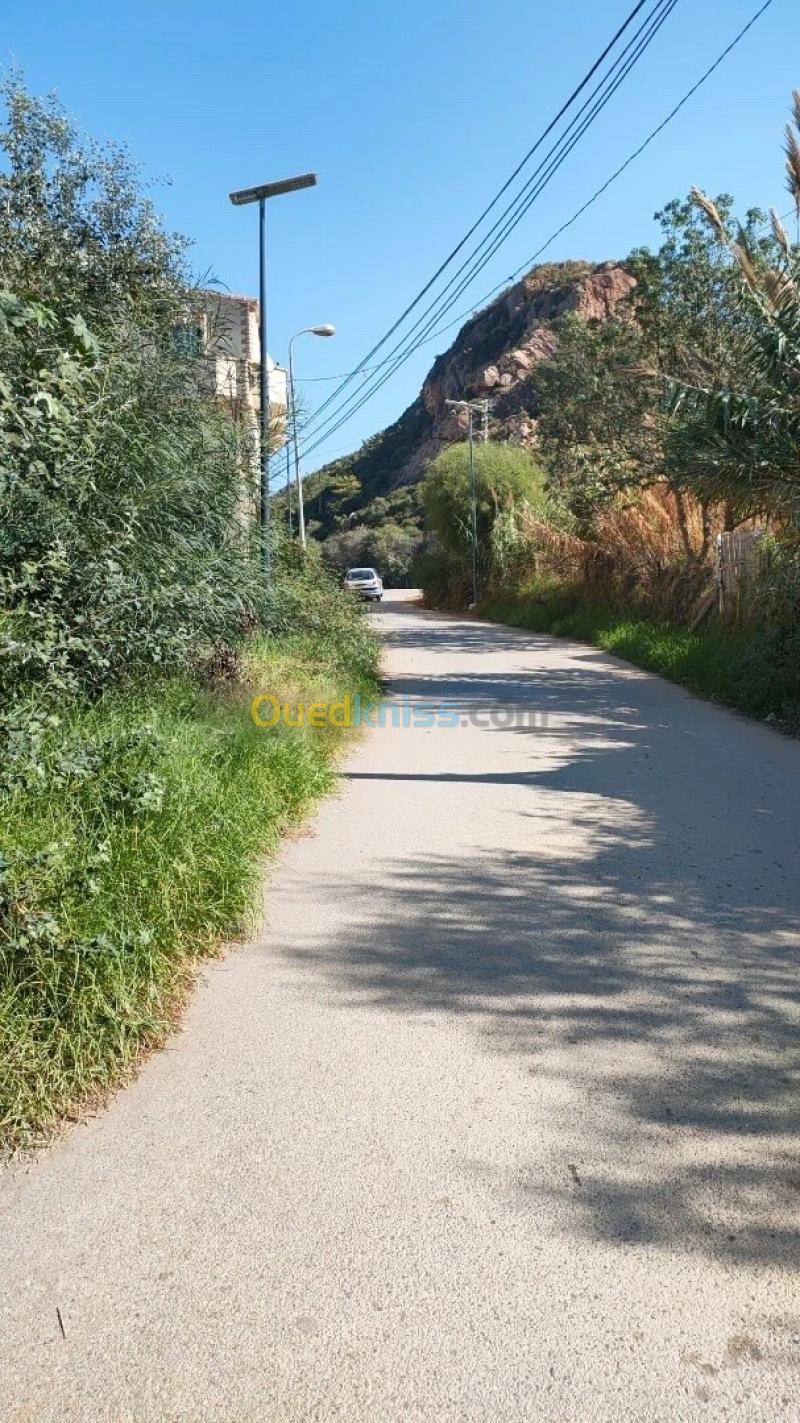Vente Terrain Jijel Jijel 18