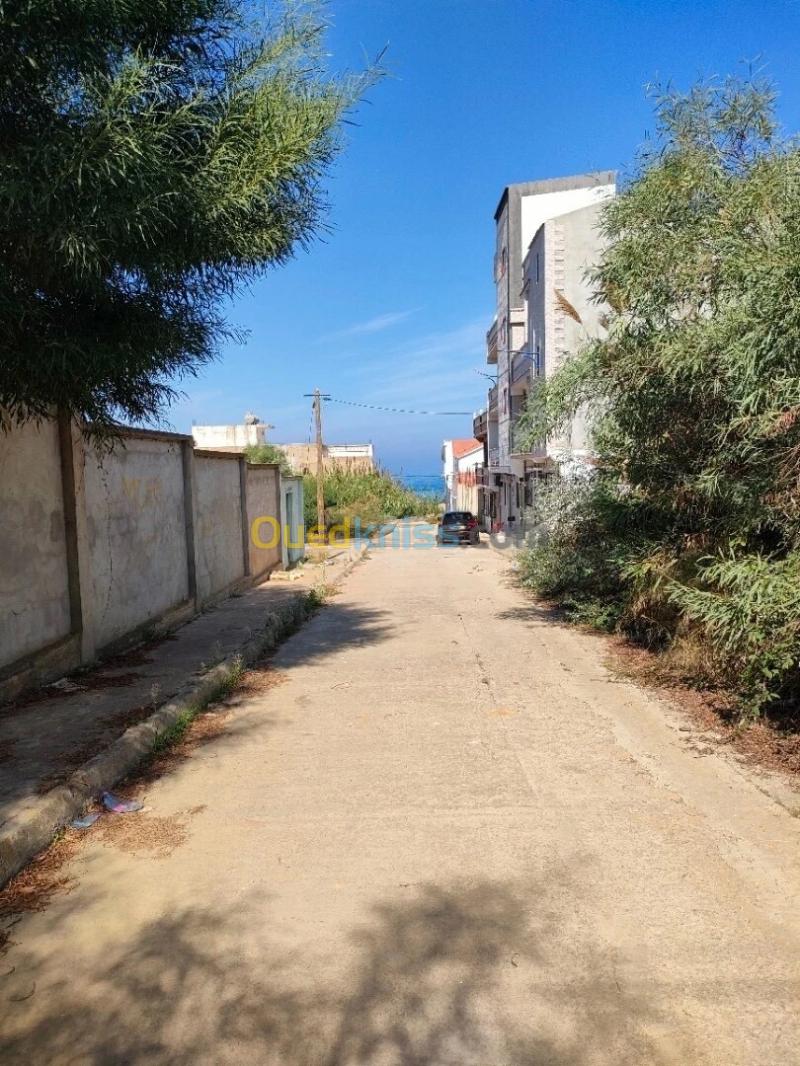 Vente Terrain Jijel Jijel 4