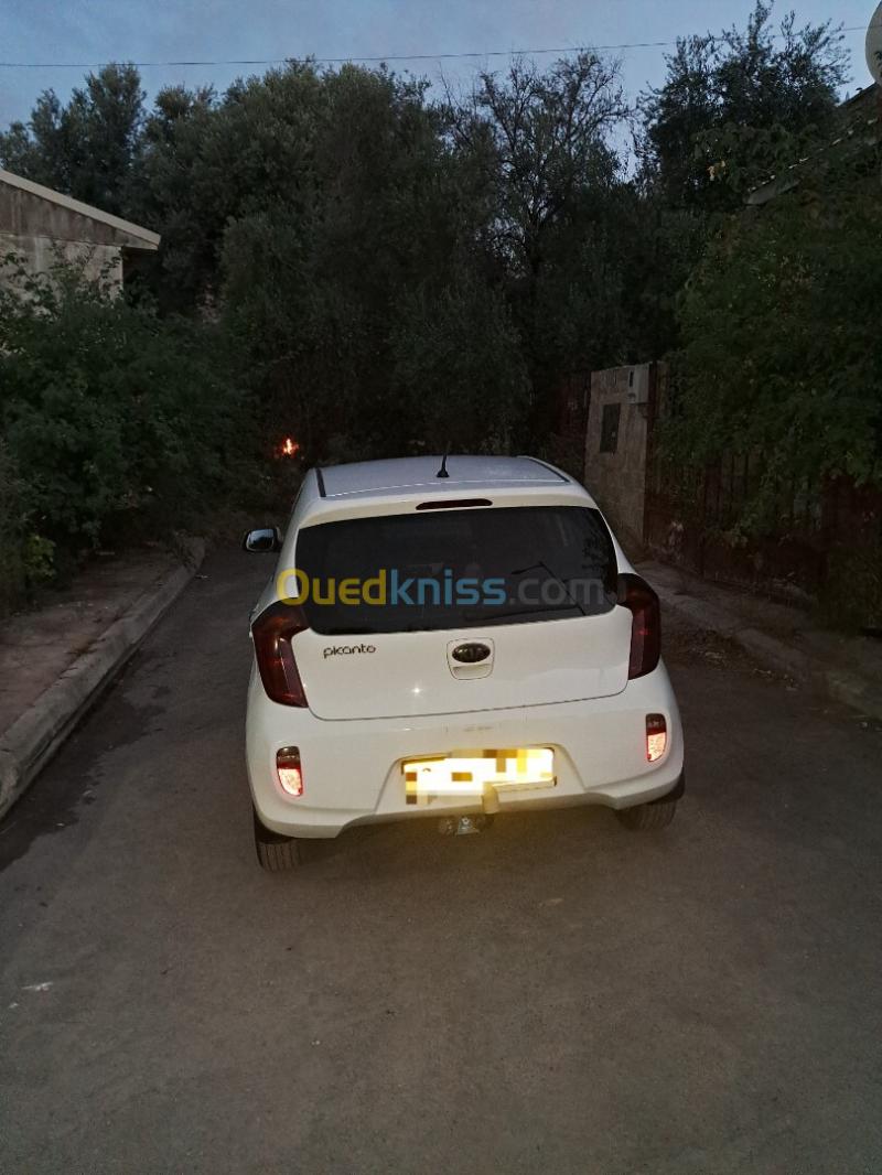 Kia Picanto 2015  3