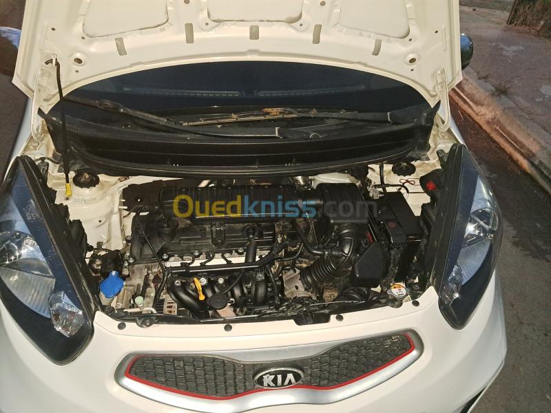 Kia Picanto 2015  4