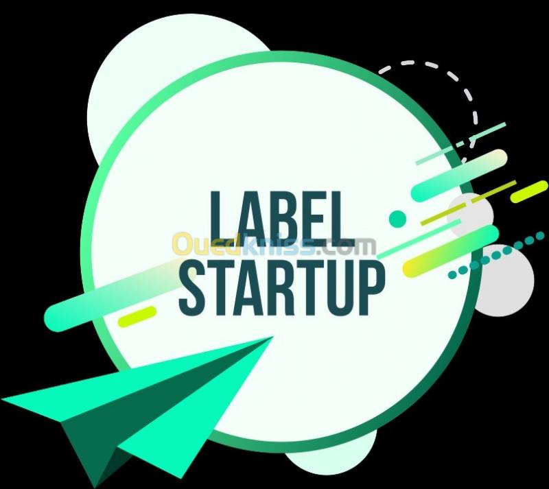   Élaborez votre Business Plan pour obtenir le label startup (Prix Raisonnable)