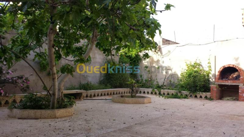 Location vacances Bungalow F4 Chlef Tenes 5