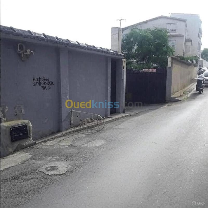 Vente Villa Alger El mouradia
